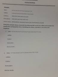 Learn vocabulary, terms and more with flashcards, games and other study tools. Solved Proctice Worksheet Example Ona Gtacgcgtataccgaca Chegg Com