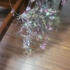 Image result for Ceropegia rendallii