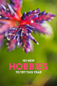 Within our list, many of these ideas don't require extra equipment or any cost to start. 101 Hobbies To Start In 2021 Listed By Types Of Hobbies