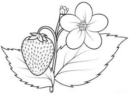 Buku mewarnai daun pohon daun sudut anak daun png pngwing. 61 Gambar Daun Untuk Anak Tk Terbaik Gambar Pixabay