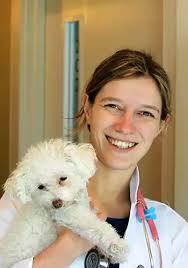 Our Team in Boston, MA