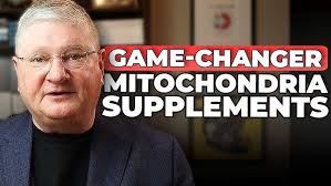 🌟 Empower Your Family's Health Journey with Dr. Scott Haggerty: Discover  the Elite Difference 🌱