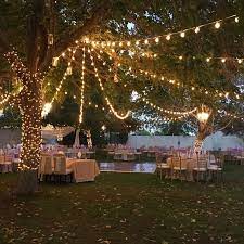 Wrap Your Garden In Nothing But Light No More Decoration Is Needed Backyardwedding Bac Wedding Backyard Reception Outdoor Wedding Reception Yard Wedding