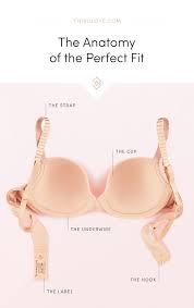 The Anatomy Of The Perfect Fit Perfect Bra Perfect Fit Bra