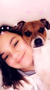 Missing declawed cat found in Hebron area