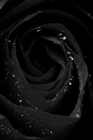 Black Wallpaper Nawpic