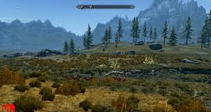 Skyrim for nintendo switch is a great game. Skyrim On The Switch Is A Bit Of A Surprise