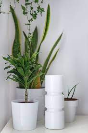 Why You Should Always Put A Coffee Filter In Your Flower Pots Flower Pots Cheap Plant Pots Indoor Plant Pots