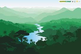 10 Indian Species That Are Rare Unknown And Endangered Forbes India