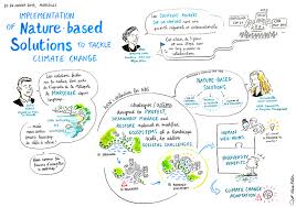 Global Standard For Nature Based Solutions Prepared By Iucn Eurosite
