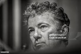 135 Rand Brooks Stock Photos, High-Res Pictures, and Images