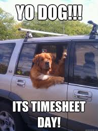 Timesheets Funny Google Search Happy Birthday Dog Meme Dog Memes Funny Dogs