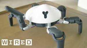 Giant batbot xtreme transforming robot with voice changer unboxing with ckn toys. Outdoors Bird Animal Nature Building Resized By Ze Robot Cute766