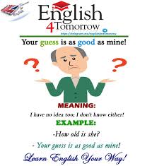 Your Guess Is As Good As Mine Means I Don T Know Too English Idioms Learn English Teaching English