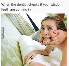 It's safe to say that memes have taken over the internet, and they continue to evolv. Checking Wisdom In The Girl 9gag