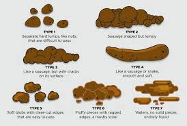 poo says about you and your health