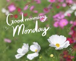 Tanksful for the little things in life. Inspirational Quote Good Morning Monday On Flowers Background Stock Photo Picture And Royalty Free Image Image 97225208