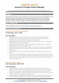Technical project managers walk the line between project management and information technology. Principal Project Manager Resume Samples Qwikresume