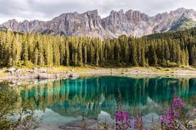 Image result for Why am I here?