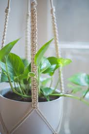 You can take some of the least expensive flowers like petunias and make extravagant hanging. Easy Home Diy Macrame Plant Hanger Tutorial Heylilahey
