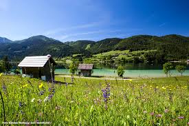 273 likes · 2 talking about this · 7 were here. Weissensee Information Alpenjoy De