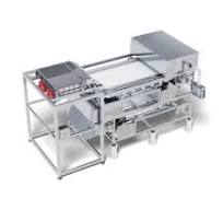 Frozen and Dehydrated Vegetable Color Sorter Manufacturer ...