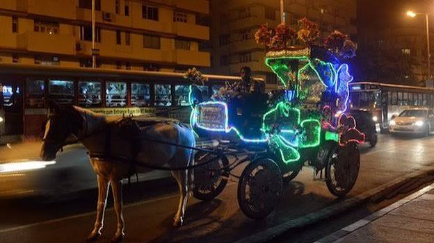 Mumbai court bans horse-drawn 'Victoria carriages' - BBC News