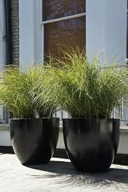 How To Have Large Flower Pots Outdoors Large Outdoor Planters Outdoor Planters Modern Planters Outdoor