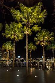 A Stroll Along Circular Quay Offers Not Only A View Of The Sydney Opera House It Also Lead Landscape Lighting Outdoor Tree Lighting Outdoor Landscape Lighting