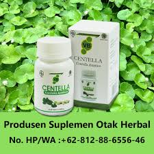Pabrik Vitabrain Untuk Dewasa Produsen Vitamin Otak Dijual Di Apotik Vitabrain Grosir Produsen Vitamin Otak Untuk Bayi 6 Bulan Vita Di 2020 Dengan Gambar Vitamin Resep Dokter Otak