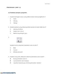 B tidak dimarahi oleh guru c supaya bilik sains sentiasa dalam keadaan cantik.d supaya aktiviti dan eksperimen dapat dijalankan dengan selamat dan terkawal. Latihan Pengukuhan 1 Sains Tahun 1 Worksheet