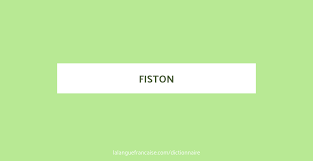 Over 100,000 english translations of french words and phrases. Fiston Definition De Fiston La Langue Francaise