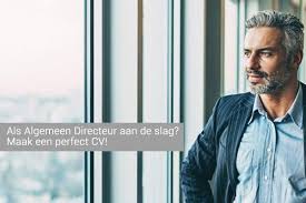 Algemeen Directeur Cv Voorbeeld Gratis Downloaden Perfectcv Nl