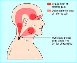 Pin On Health