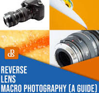 Reverse Lens Macro Photography: A Beginner's Guide
