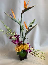 Send flowers today san diego. Exotic Birds Of Paradise In San Diego Ca Liz S Flowers