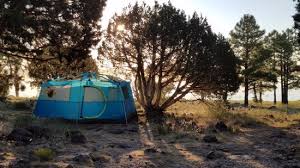 Whether you just need to know where to camp nearby or you want to plan a free camping road trip, we've got you. Campsite On The Lake At Dusk Picture Of Ashurst Lake Flagstaff Tripadvisor