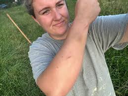 Rude ram behavior: possessive and aggressive