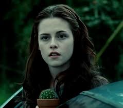 Bella Swan Collage in 2024