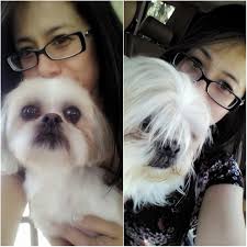 Thank you for the prayers and help finding Rambo