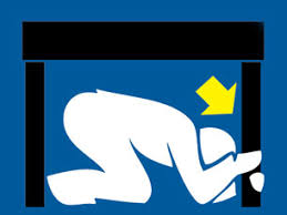 Resultado de imagem para sismo como proteger