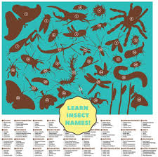 Also included is a guide book that has facts about each state.<br> <br>includes. Amazon Com Crocodile Creek Thirty Six Insects 100 Piece Jigsaw Puzzle In Canister Includes Educational Animal Finder Sheet For Ages 5 Years And Up 1 Ea Toys Games