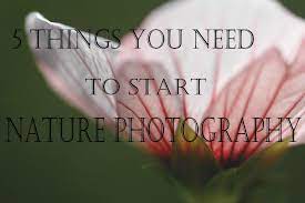Twofeetphoto The Only 5 Things You Need To Start Nature Photography Nature Photography Photography Nature