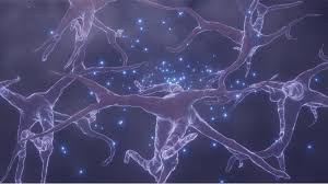 Symptoms can vary widely from person to person. Parkinson S Disease Symptoms Reversed In Mice Lifespan Io