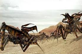 Check spelling or type a new query. Arachnids Starship Troopers Movies Vs The First Order Star Wars Whowouldwin
