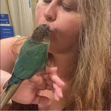 UPDATE- The SHOE of Missing Michigan woman Lisa Janine Pipp was found near  the lighthouse where she went missing. Her boyfriend Steven Stimac claims  she refused to get into his car during