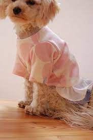 さくらドットのふりるワンピ 犬 ふりる 犬の洋服