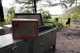 Smaller american nurseries who d. B C Based Meal Kit Company Headed For Zero Waste Nanaimo News Bulletin