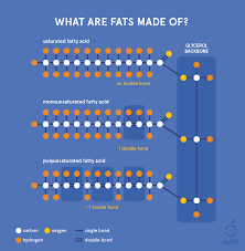 Functions Classification And Characteristics Of Fats Eufic