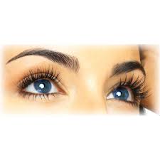 Disclaimer* dying your brows can make you blind if it gets into your eyes. Berrywell Light Brown 3 1 Eyebrow Tint Hair Dye